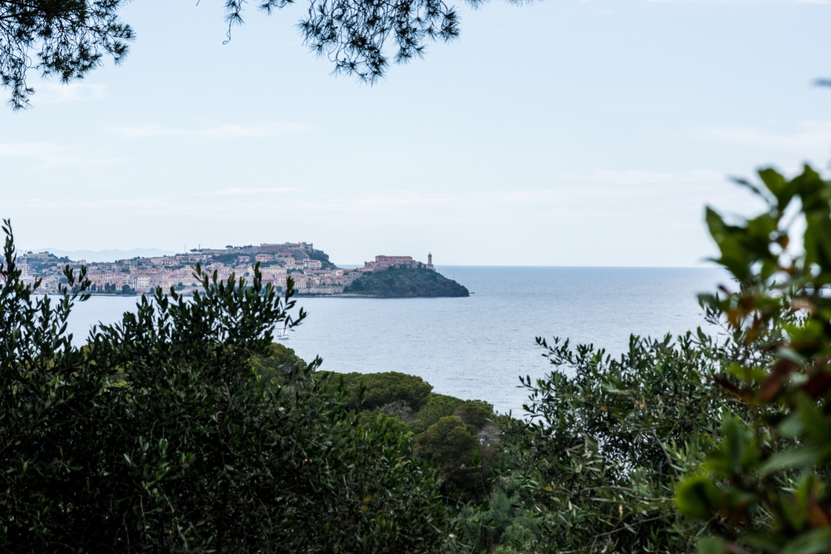 argentieri-anthony-wedding-photography-1
