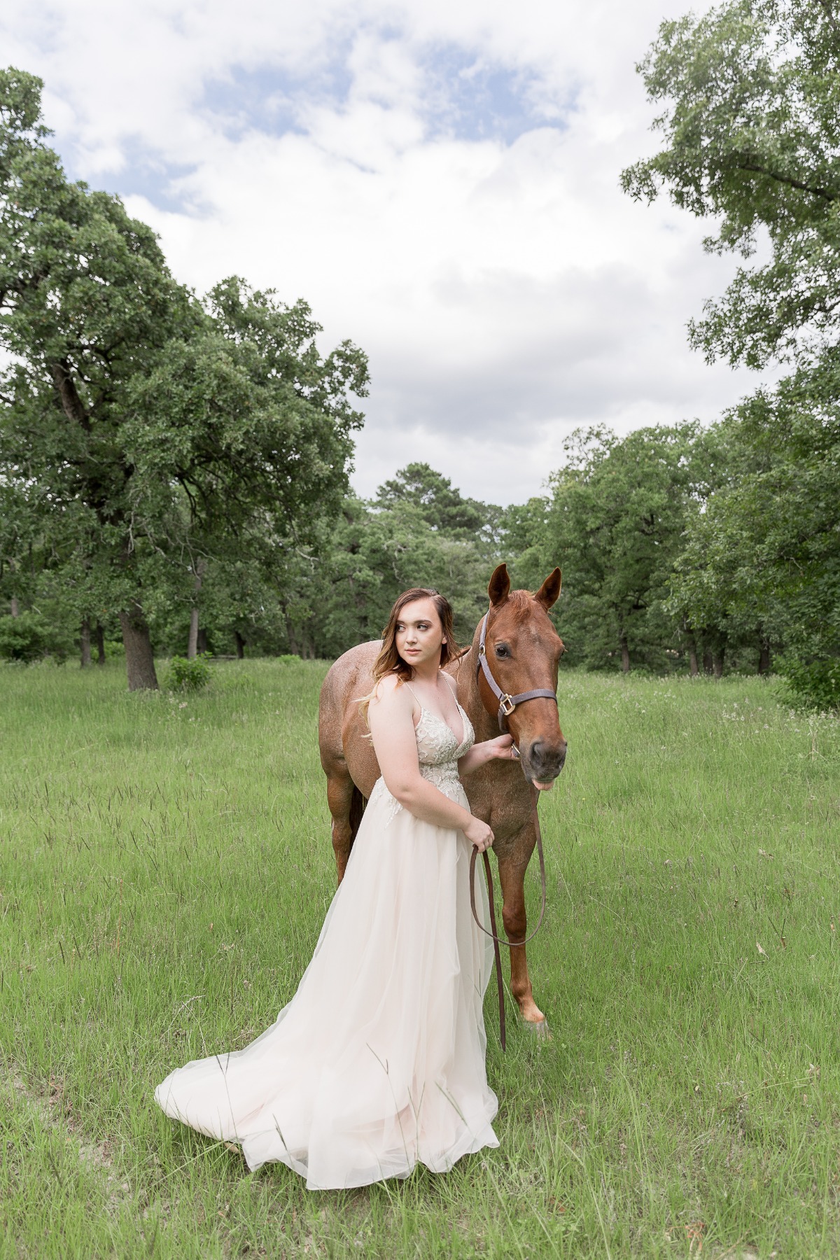 texas-rustic-bridals-horse-neely-c-baron