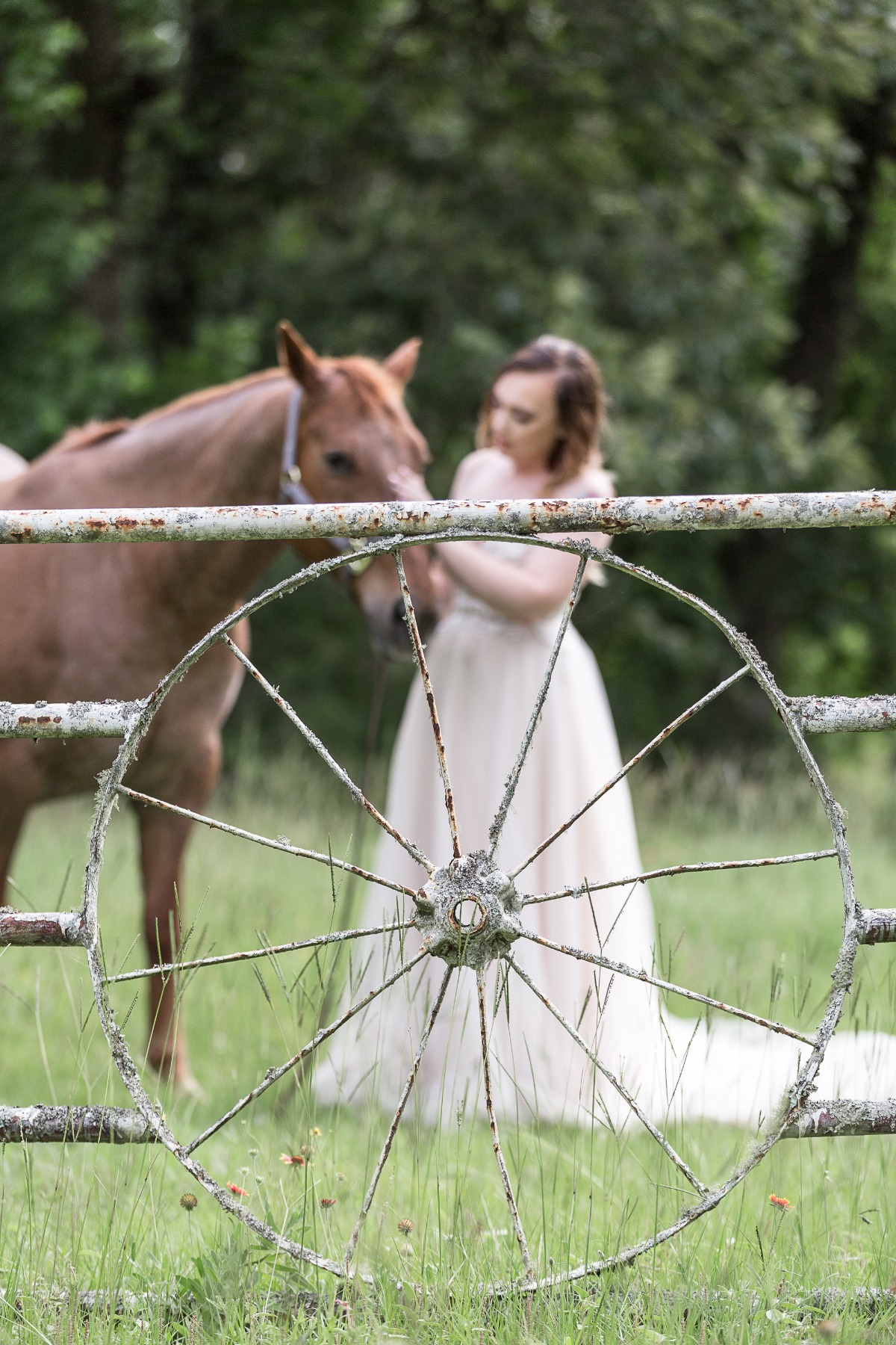 texas-rustic-bridals-horse-neely-c-baron