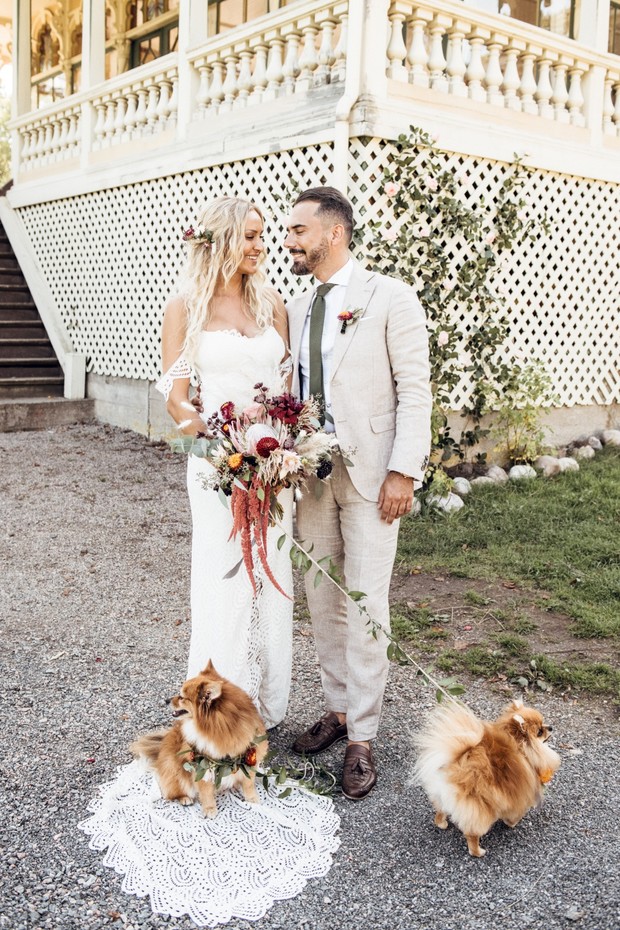 wedding couple and their wedding dogs
