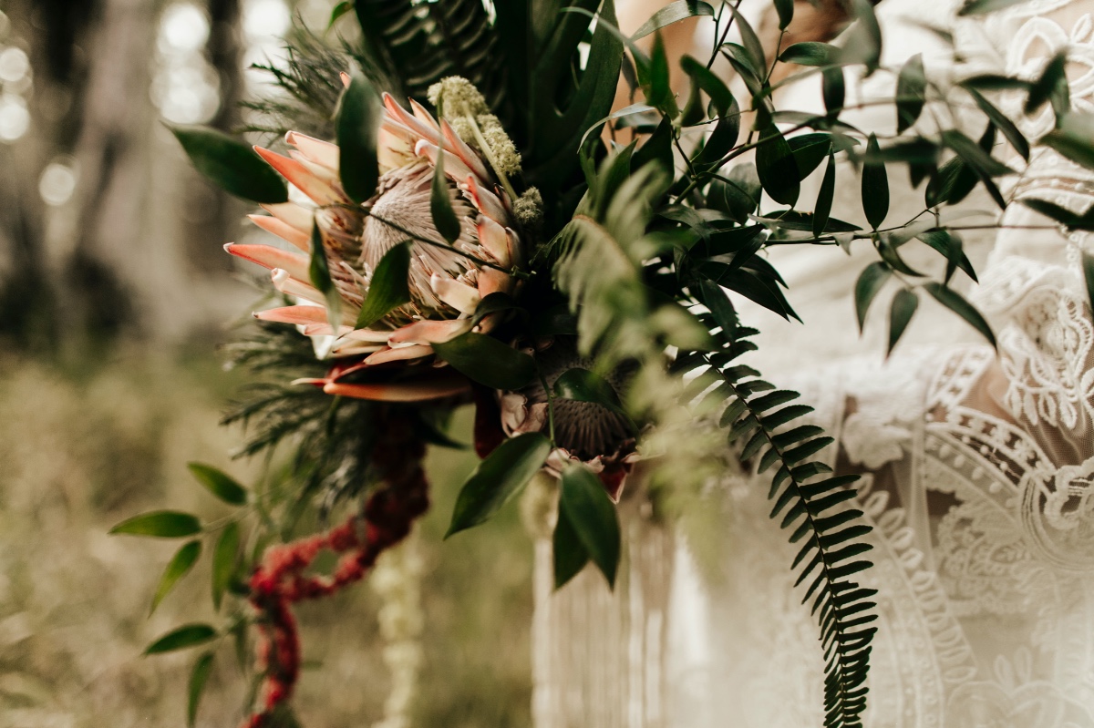 2w6a2591