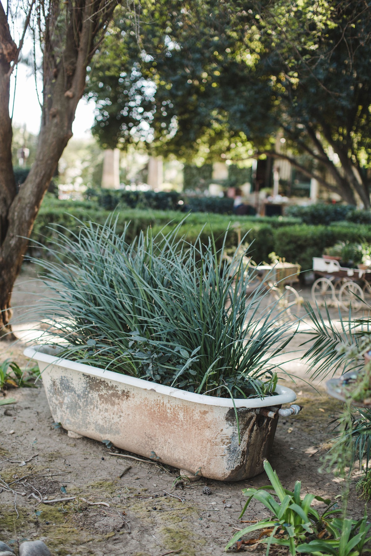 california_wedding_photographer_yolanda_
