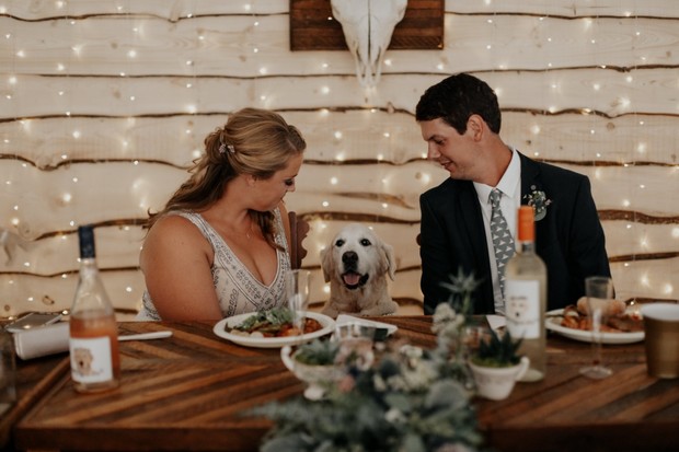 wedding couple and wedding dog