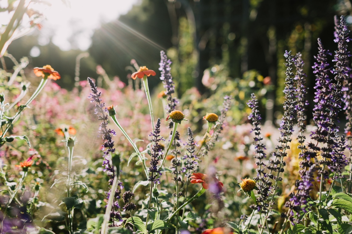 letsfrolictogether_20191013_0066