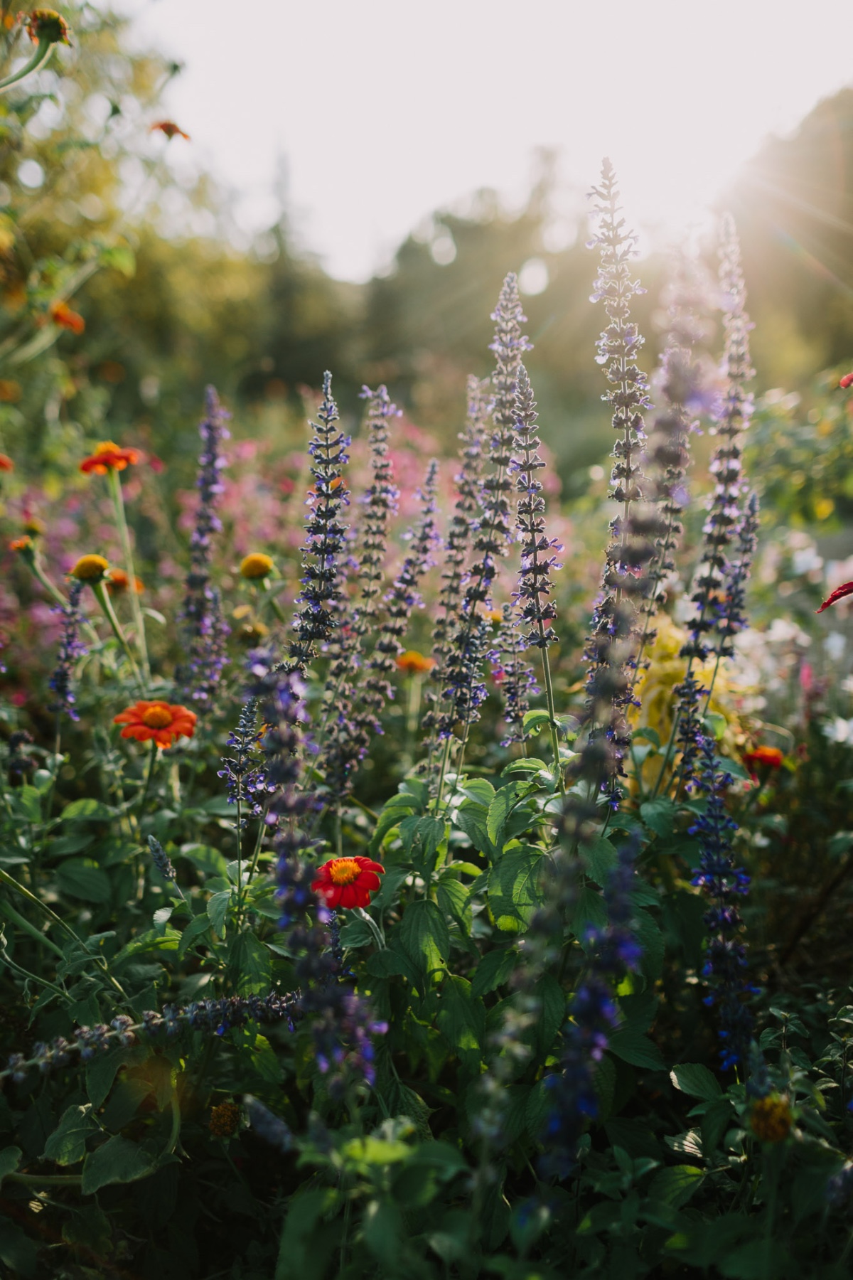 letsfrolictogether_20191013_0072