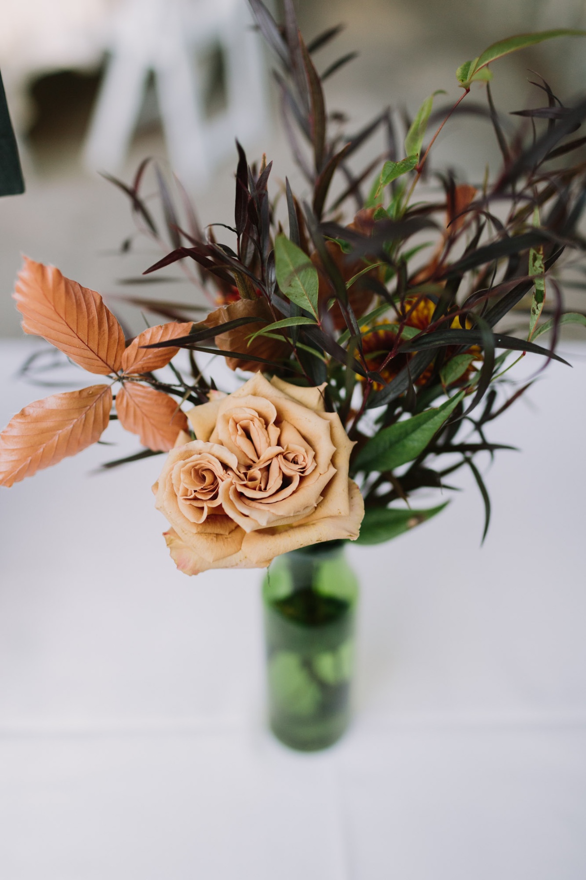 letsfrolictogether_20191013_0110