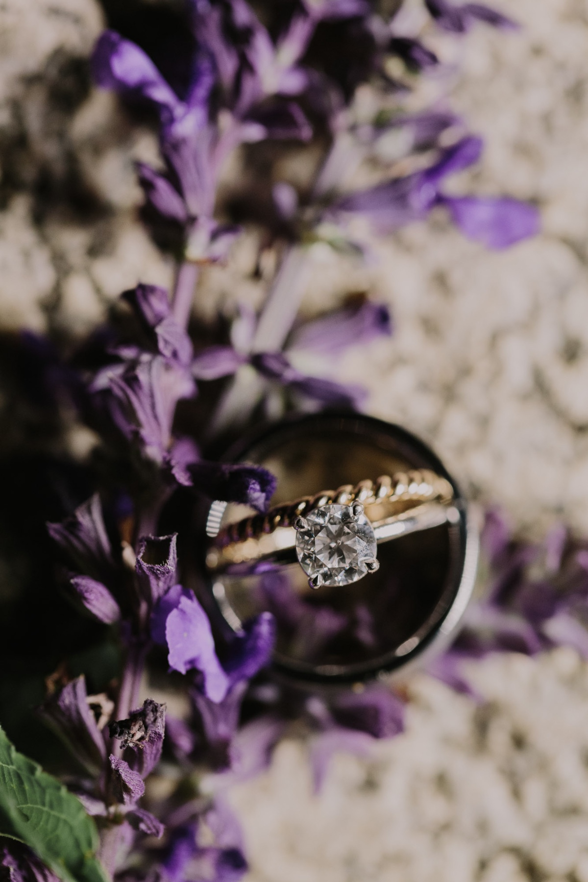 letsfrolictogether_20191013_0137