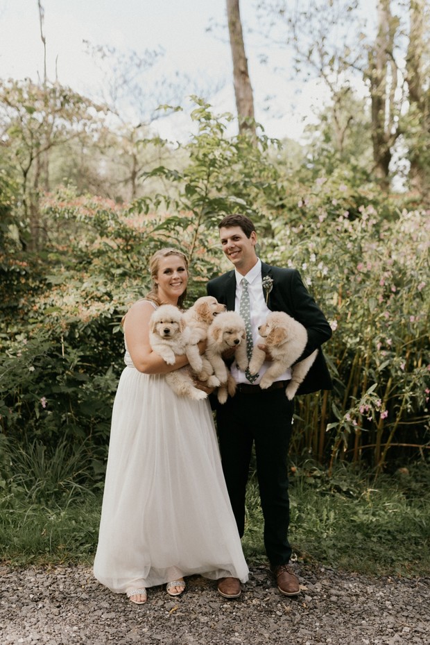 wedding puppies and sweet wedding portraits