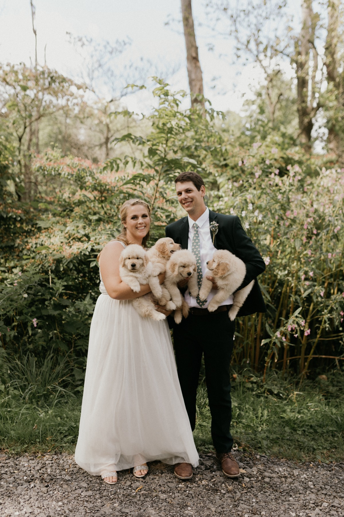 photos-bridegroom-puppies1