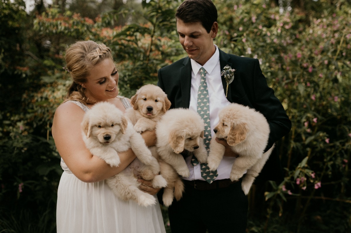 photos-bridegroom-puppies3