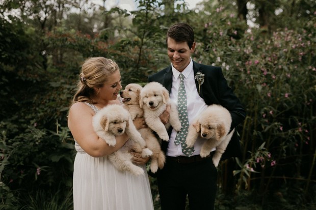 fuzzy cute puppy wedding portraits