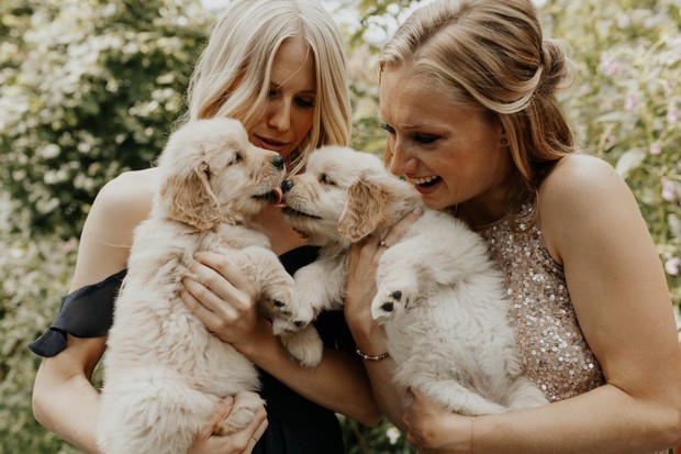 bridesmaids and wedding puppies