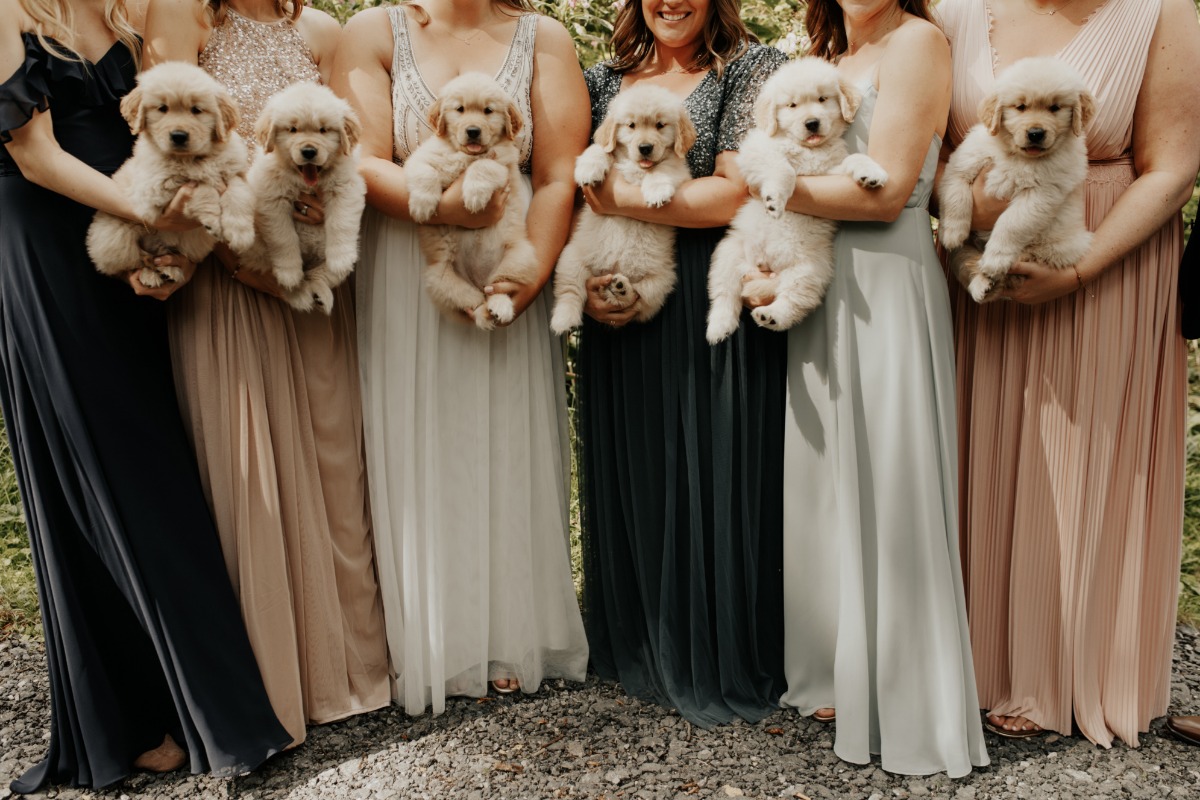 photos-bridesmaids-puppies2