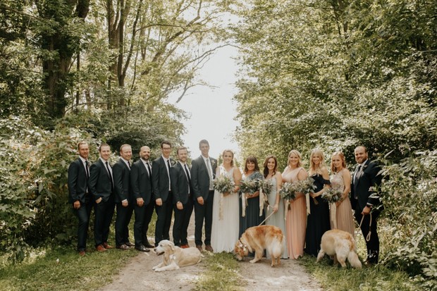 wedding party and wedding dogs