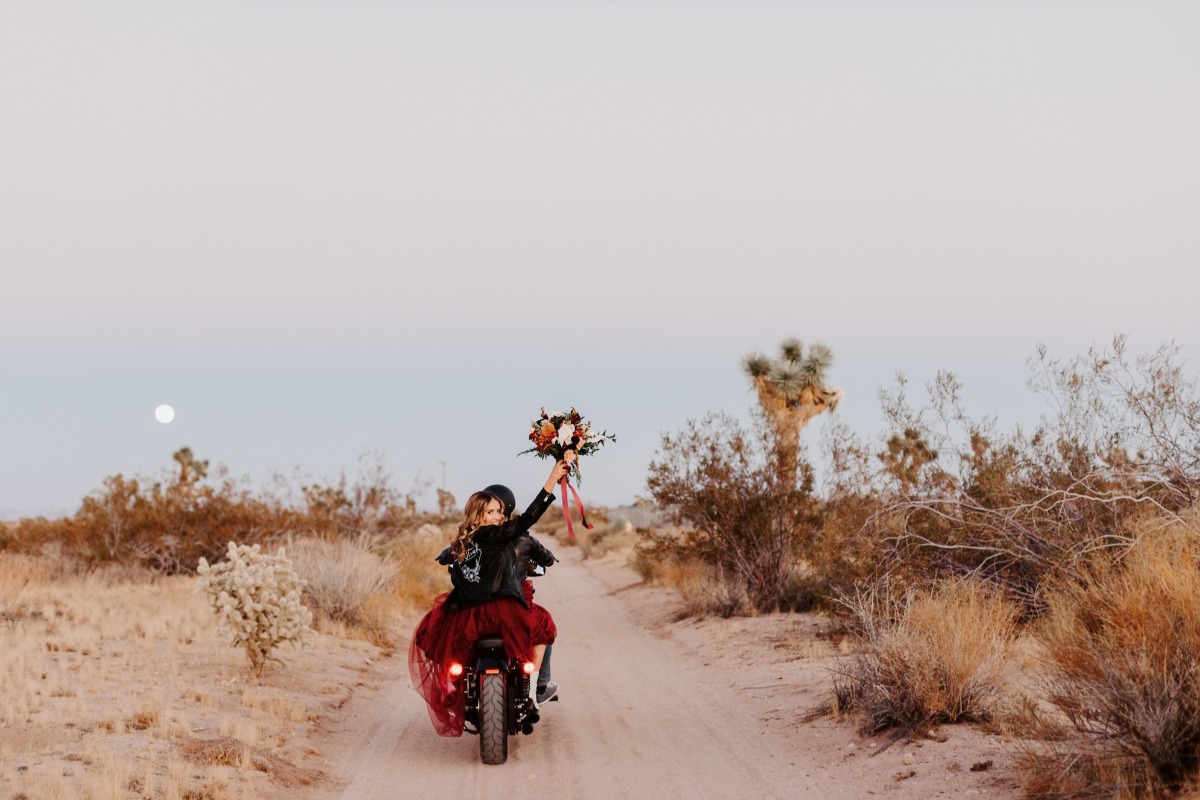 rideordie-341