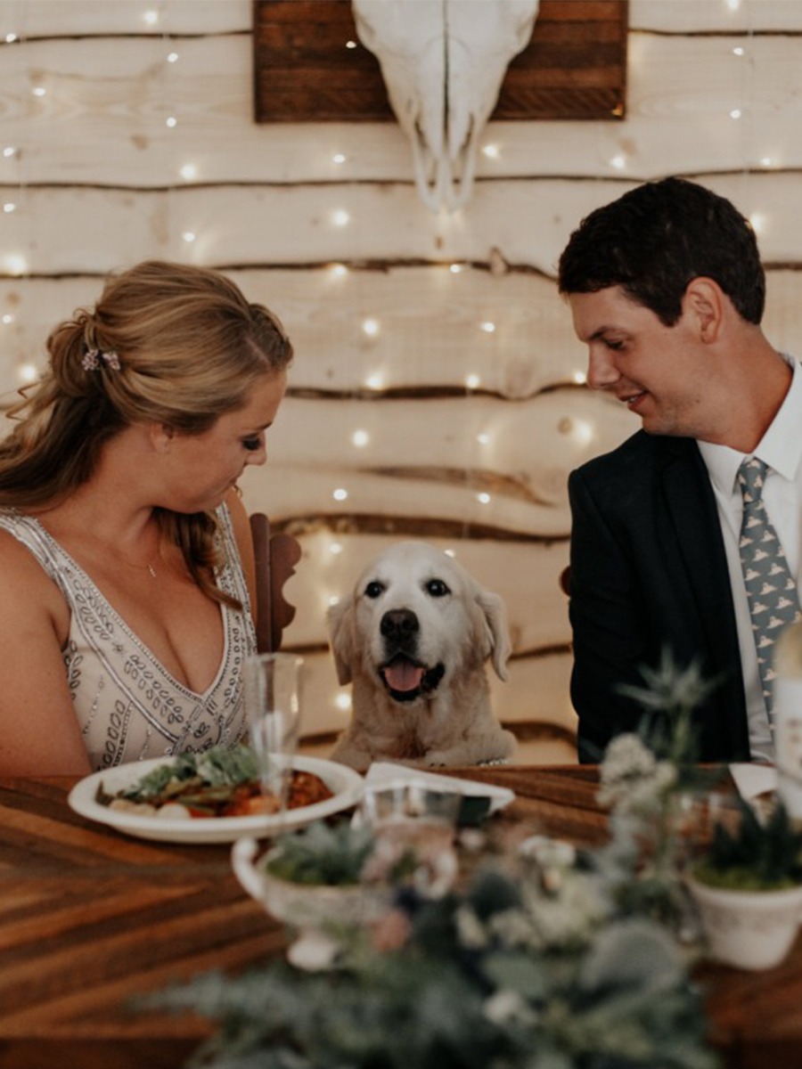 Rustic DIY Golden Retriever Wedding Day