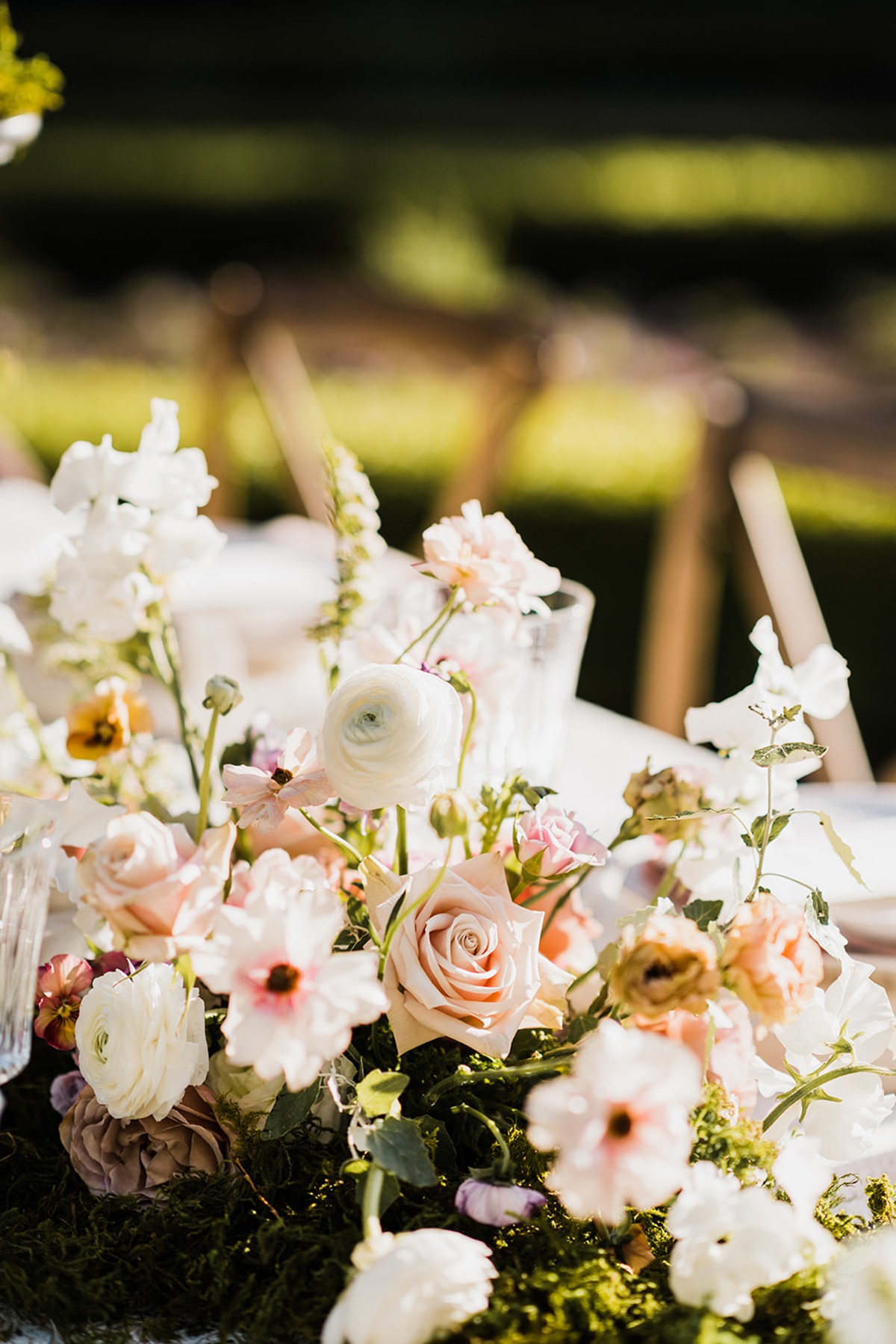 samandsola_secret_garden-127