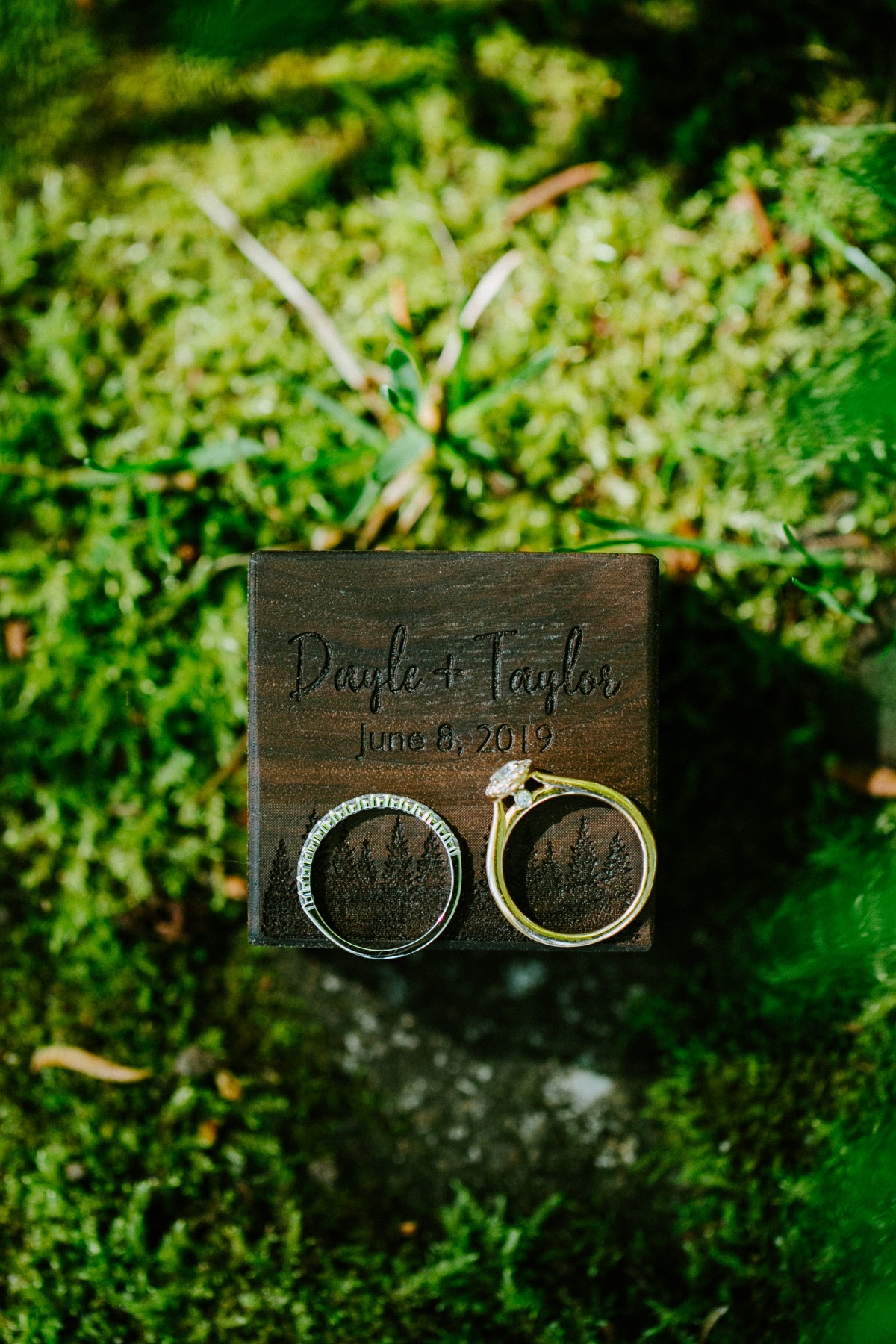 shannonrobbins_muskokasummerwedding9