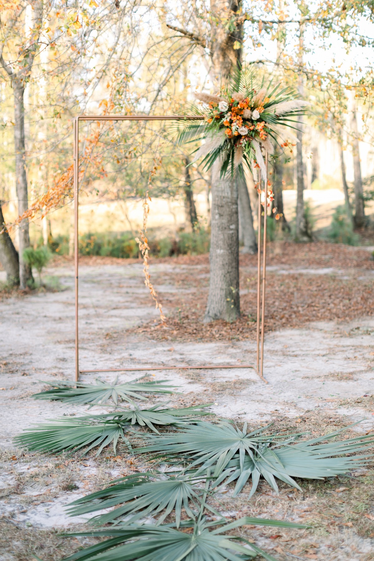 whitebirchstyledshootwinter-fall2019_eri