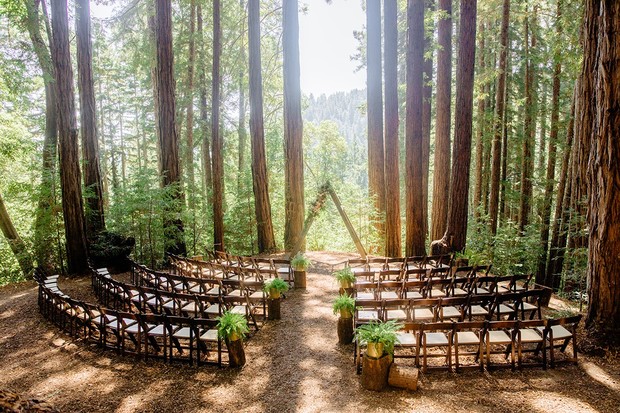 A wedding ceremony setup in a beautiful redwood forest