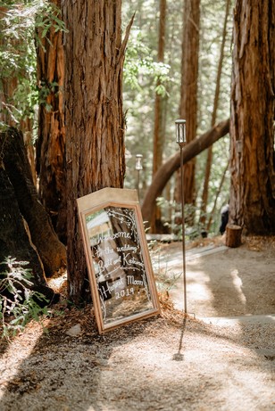 Wedding welcome sign nestled among redwood trees and sunlight