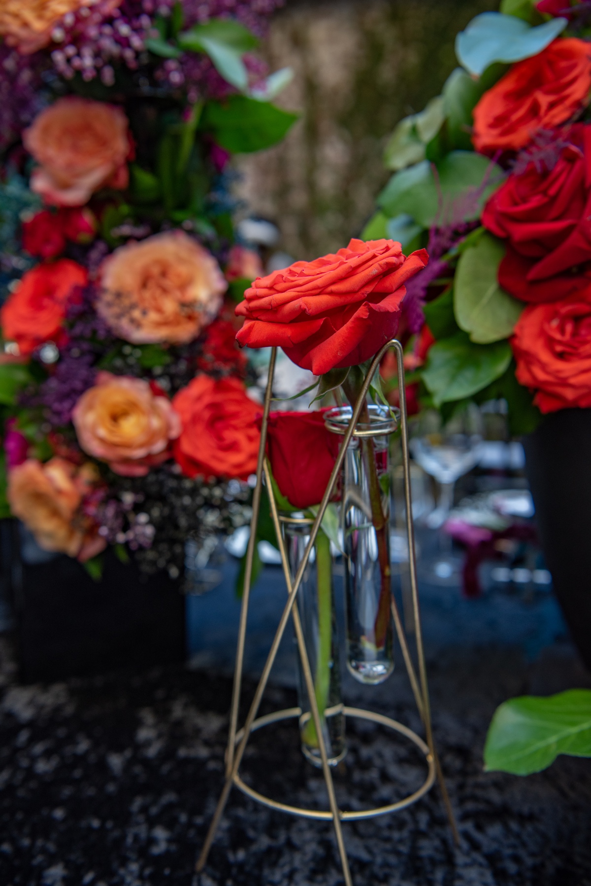 copy-of-dsc_4047