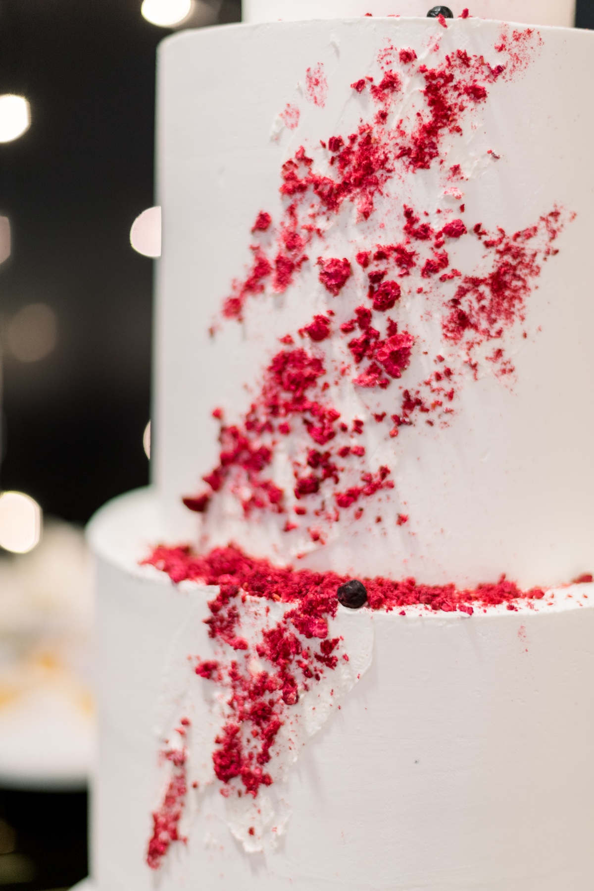 d_and_j_party-66-