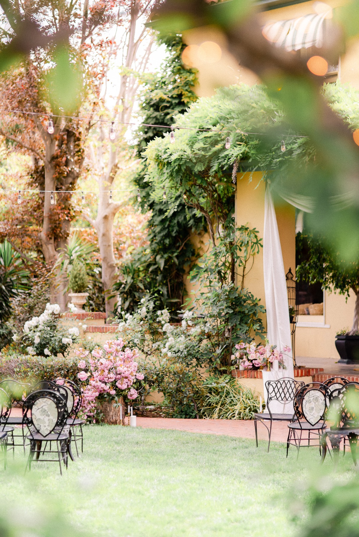 french-butterfly-styled-shoot_172