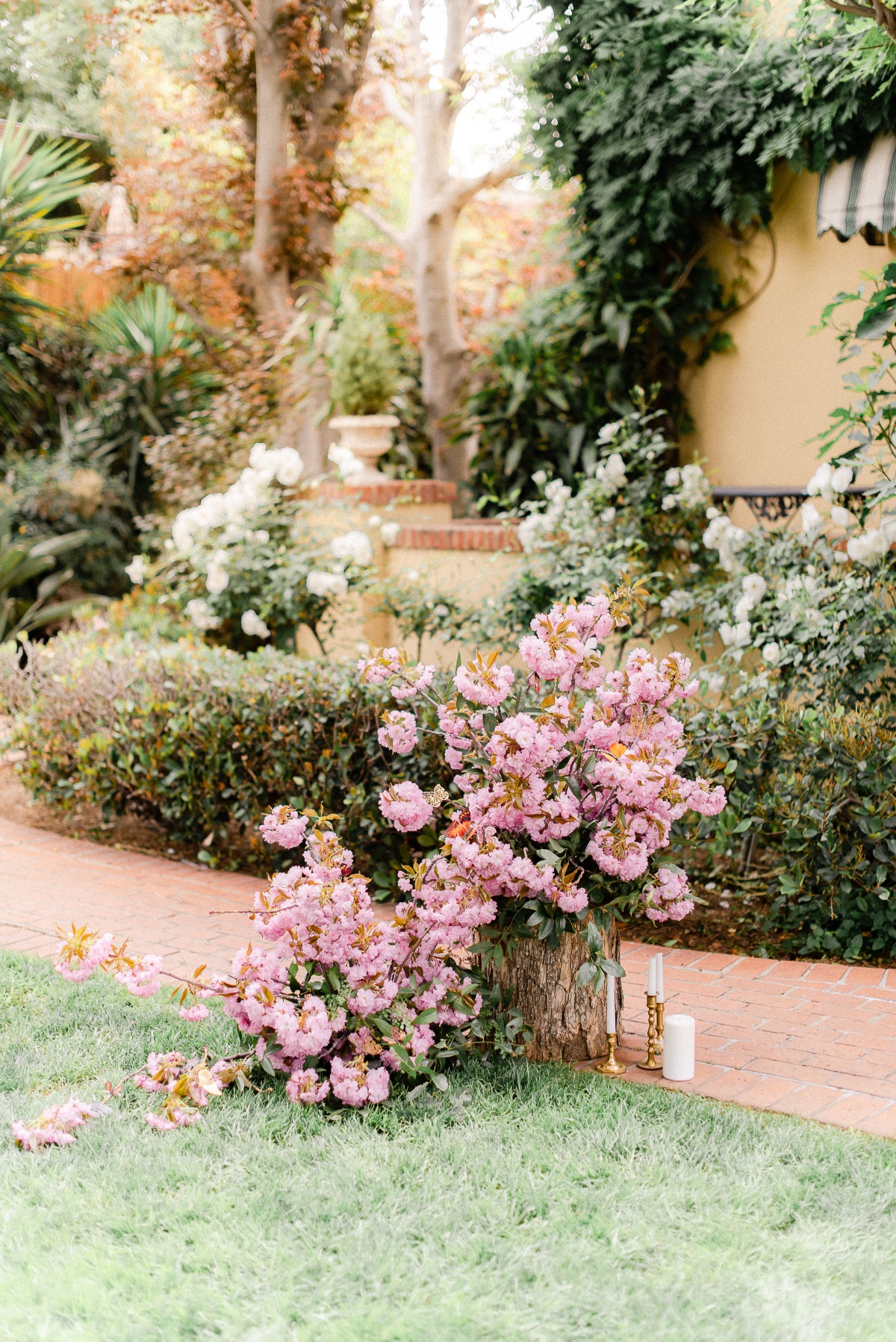 french-butterfly-styled-shoot_178