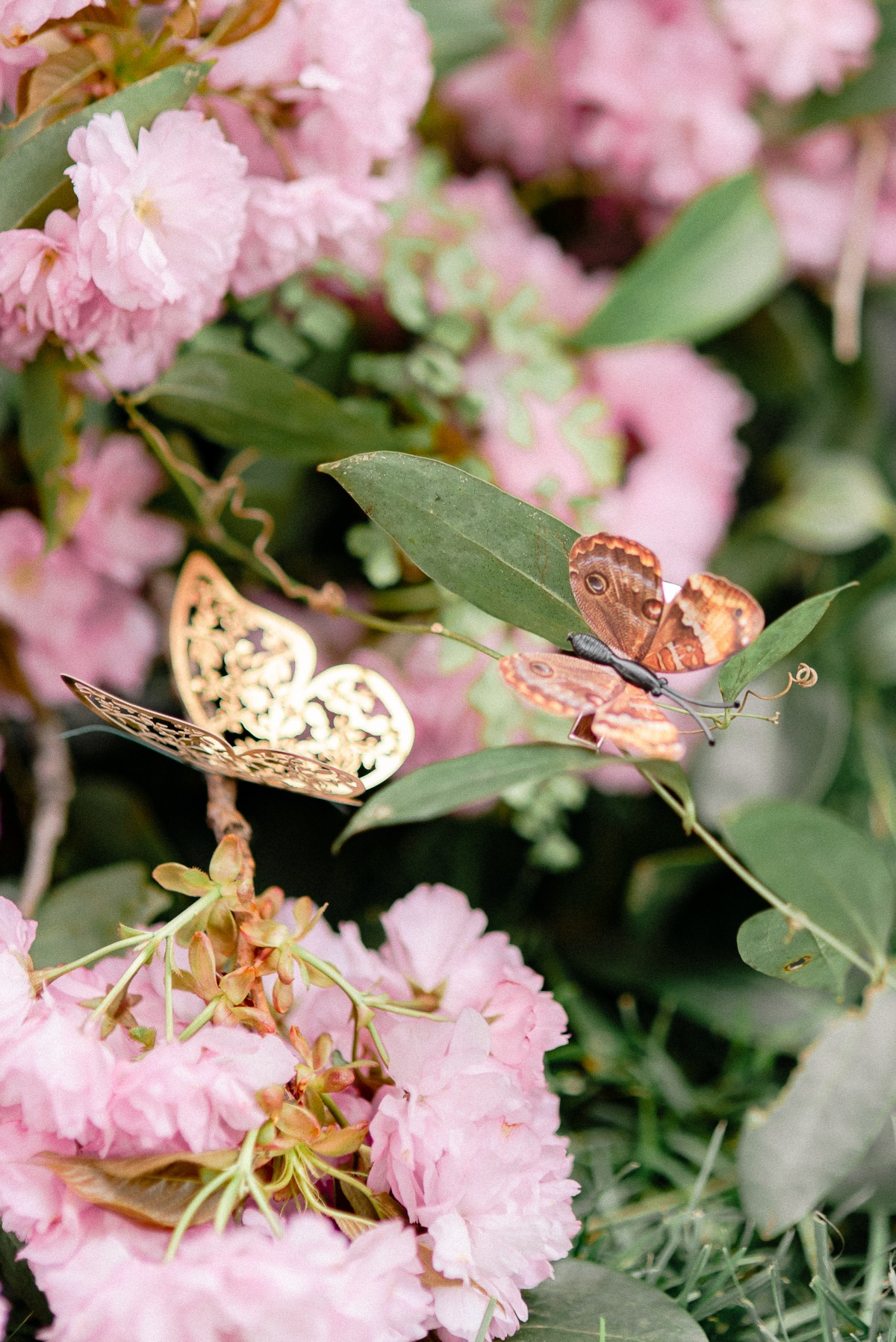 french-butterfly-styled-shoot_187