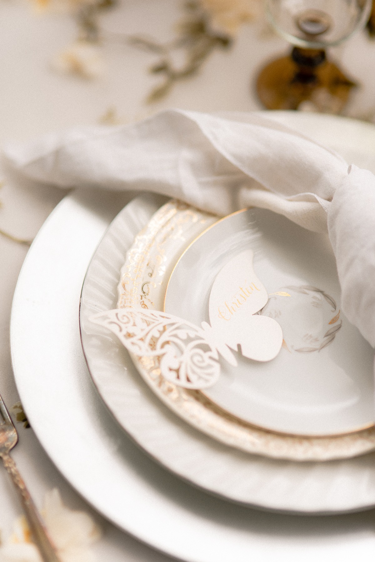 french-butterfly-styled-shoot_246