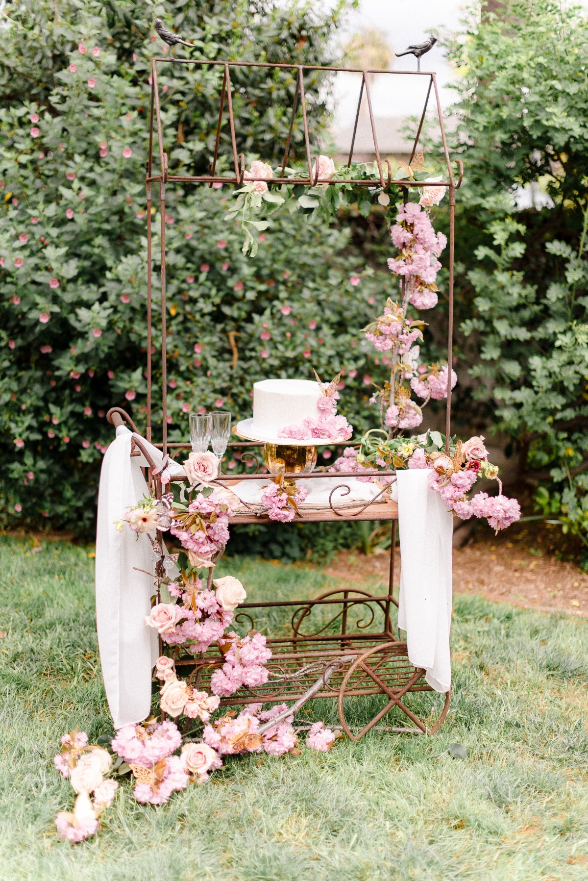 french-butterfly-styled-shoot_307