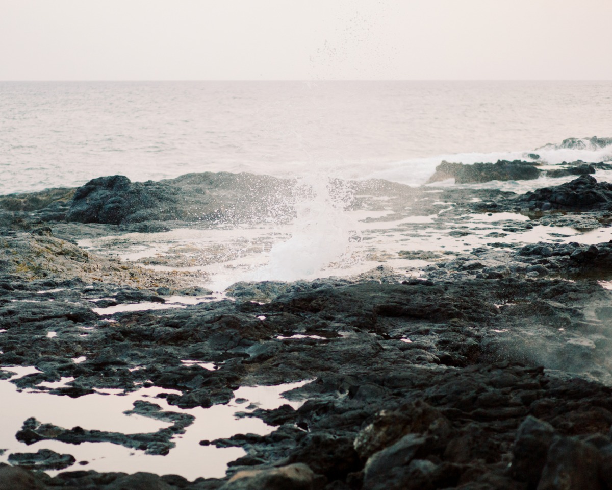 kareen_and_brad-683