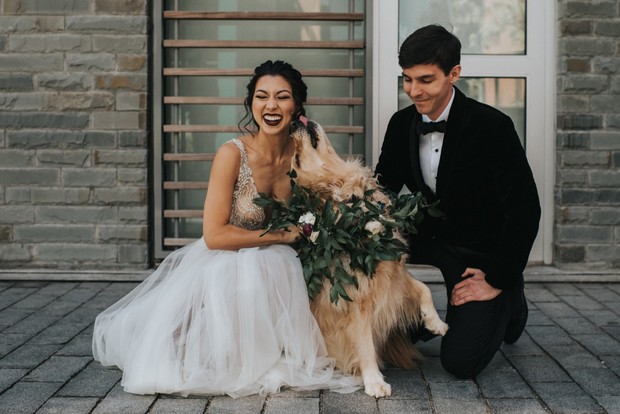 cute wedding dog