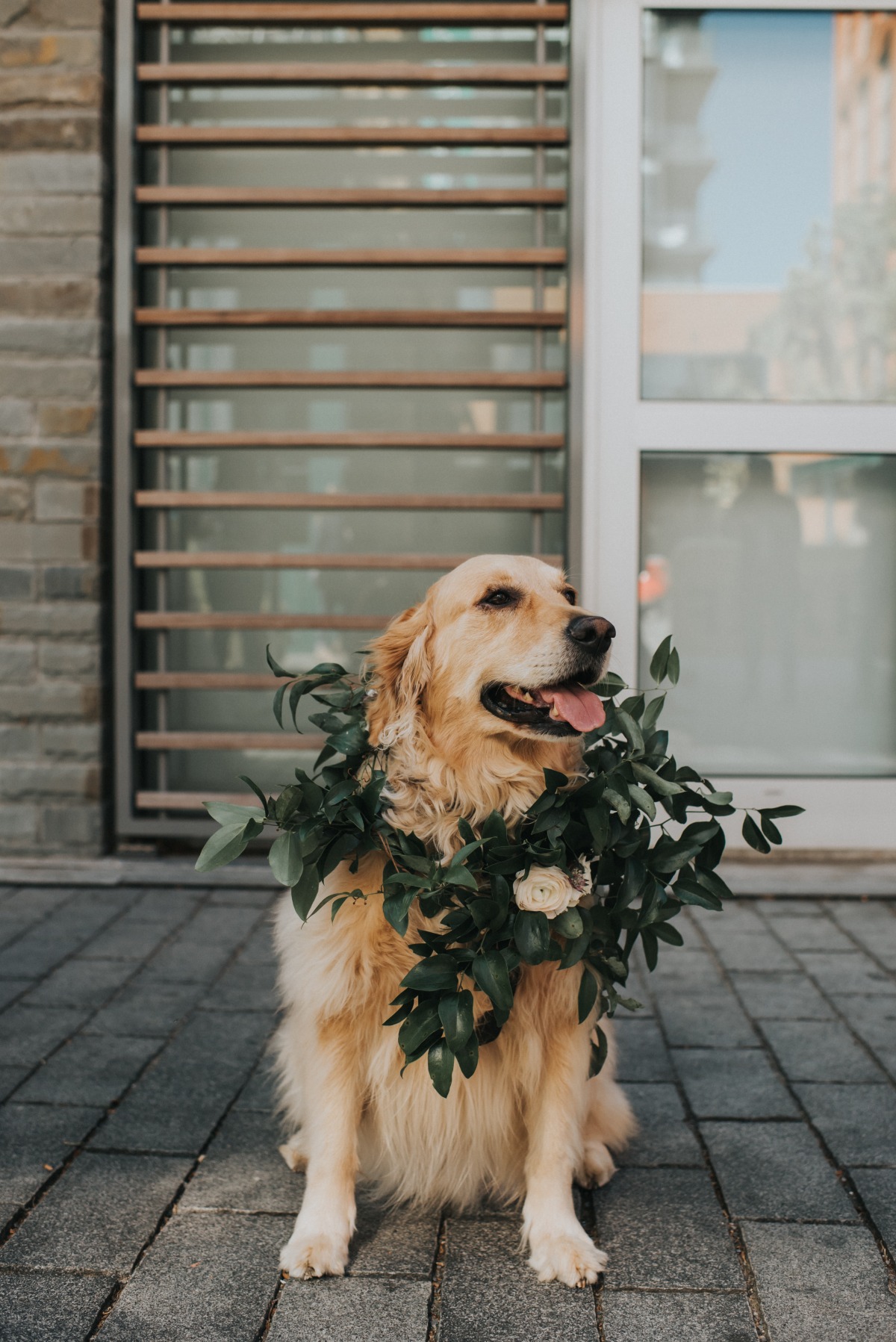 modern-district-winery-dc-wedding-agriff
