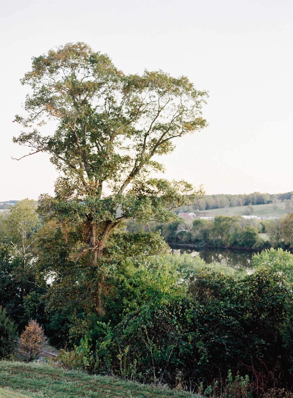 richmond_virginia_wedding_venue_estate_a