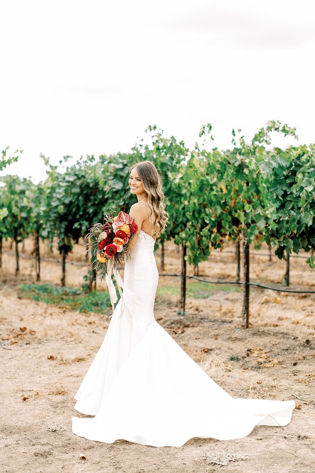 bride in a vineyard
