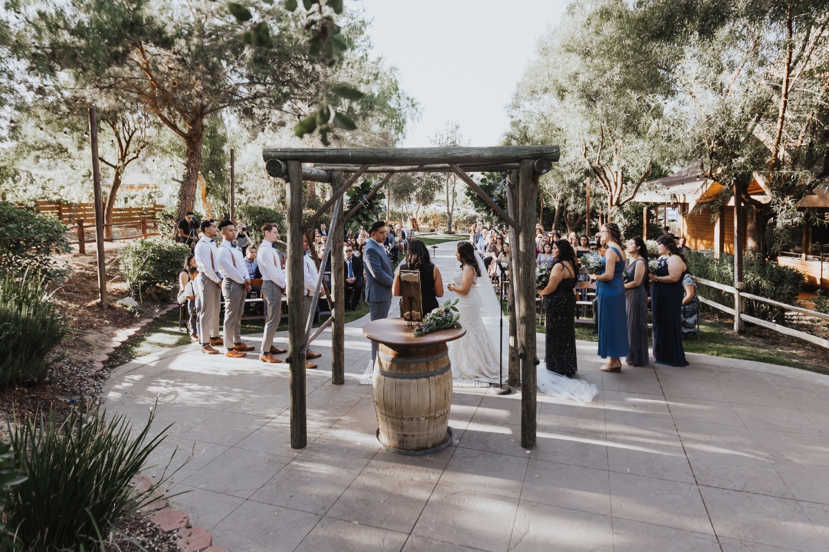 jonny_and_melissa_long_shadow_winery_wed