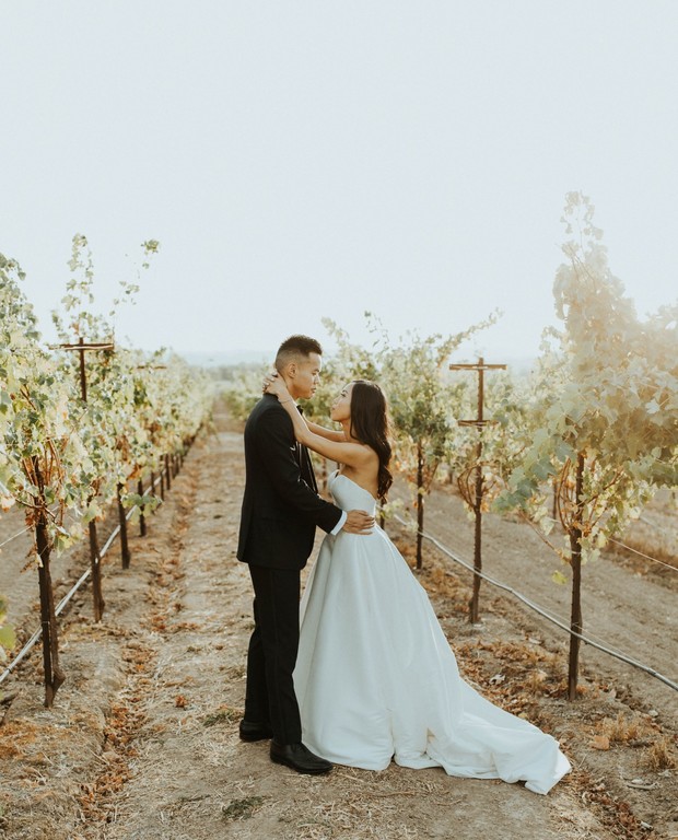 Bride and groom embrace in a vineyard, wedding day bliss