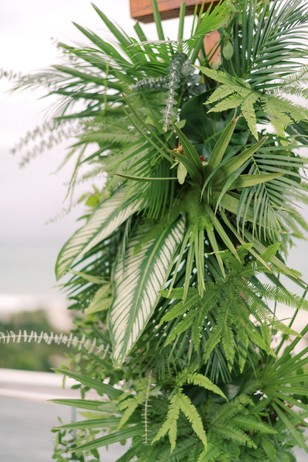 Lush green plant decoration with palm fern patterned leaves