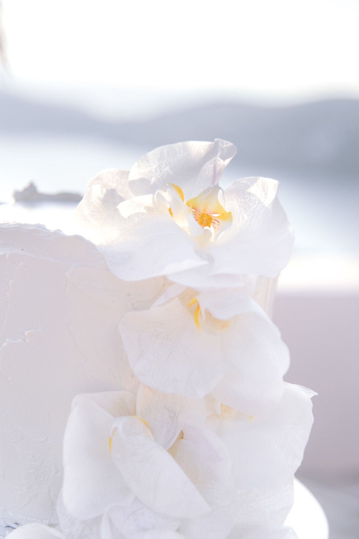 069_d4s5366-copy