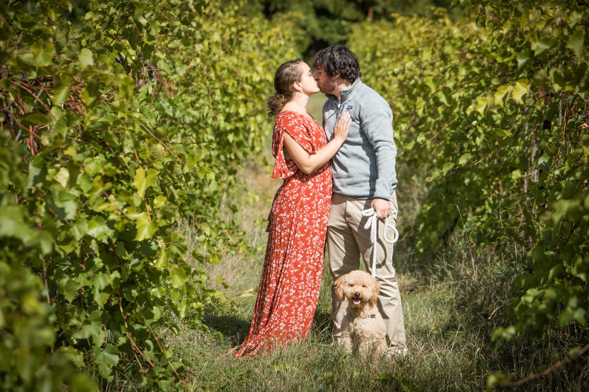 Couple kissing in a vineyard with a dog, romantic engagement photo