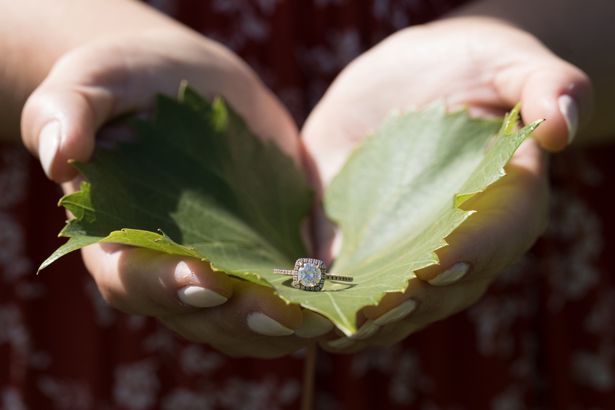 Engagement ring presented on a leaf, held gently in cupped hands