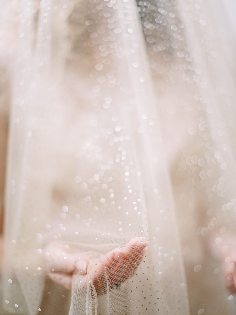 claire-pettibone-images-evolution-2020