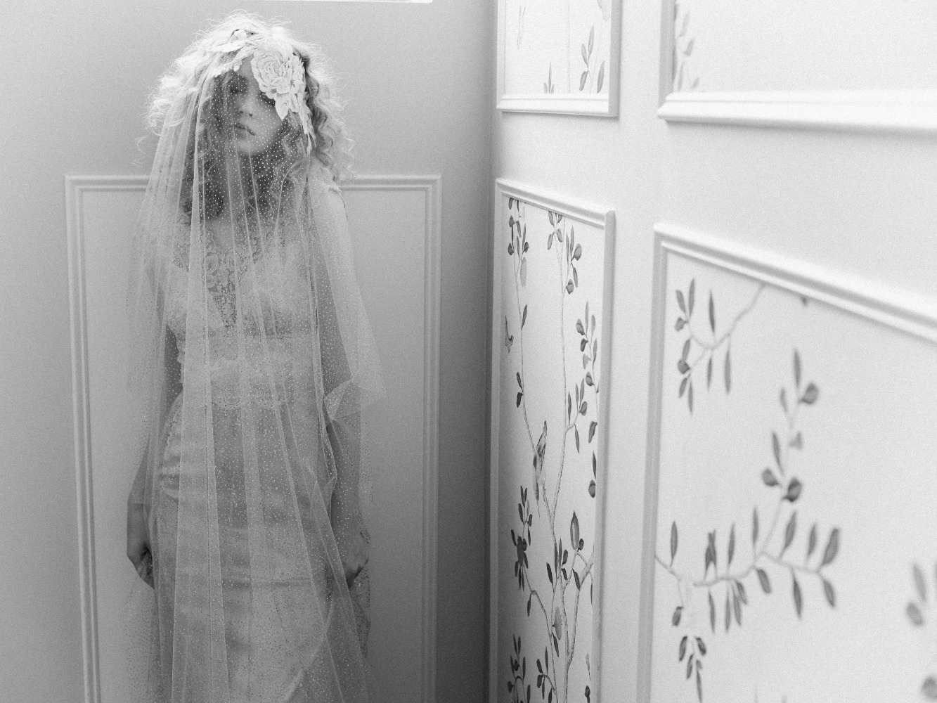 claire-pettibone-images-evolution-2020