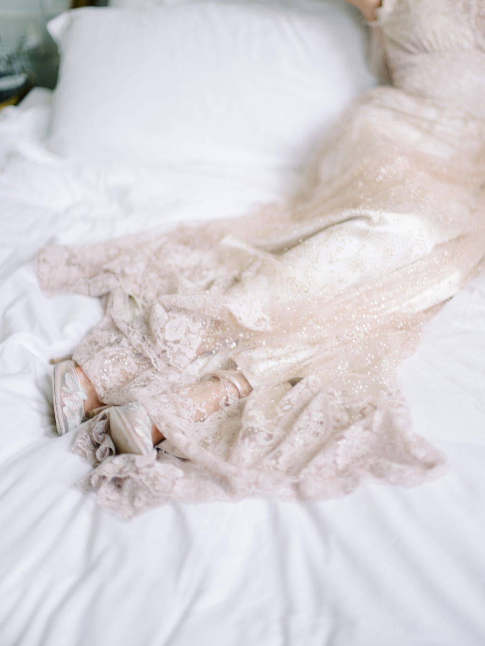 claire-pettibone-images-evolution-2020
