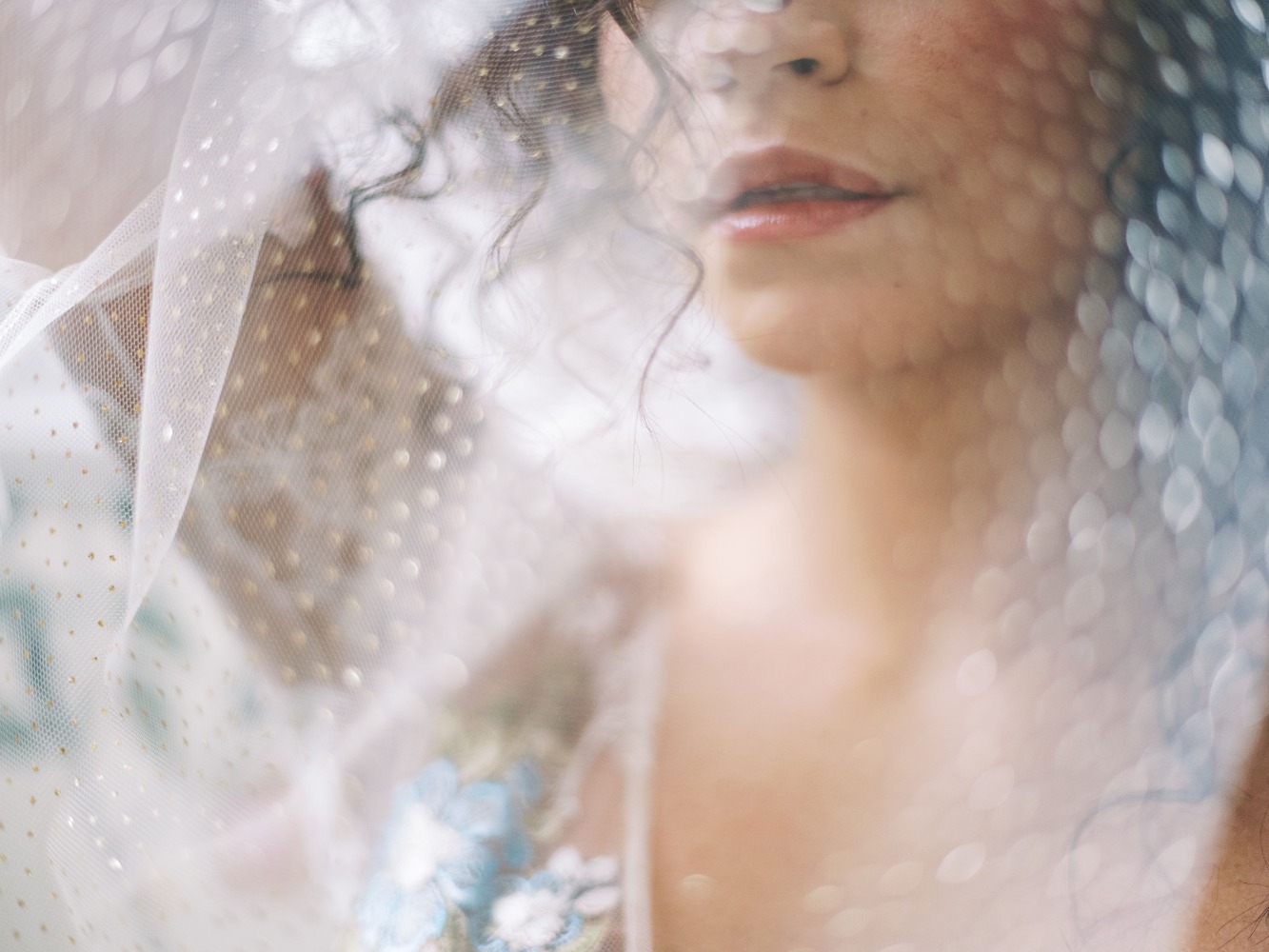 claire-pettibone-images-evolution-2020