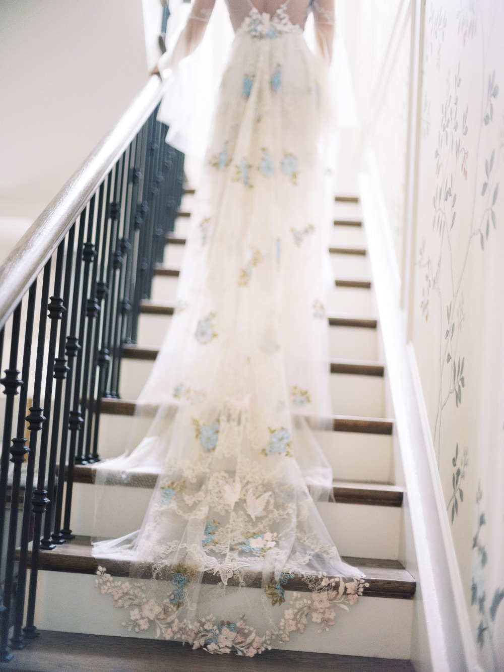 claire-pettibone-images-evolution-2020
