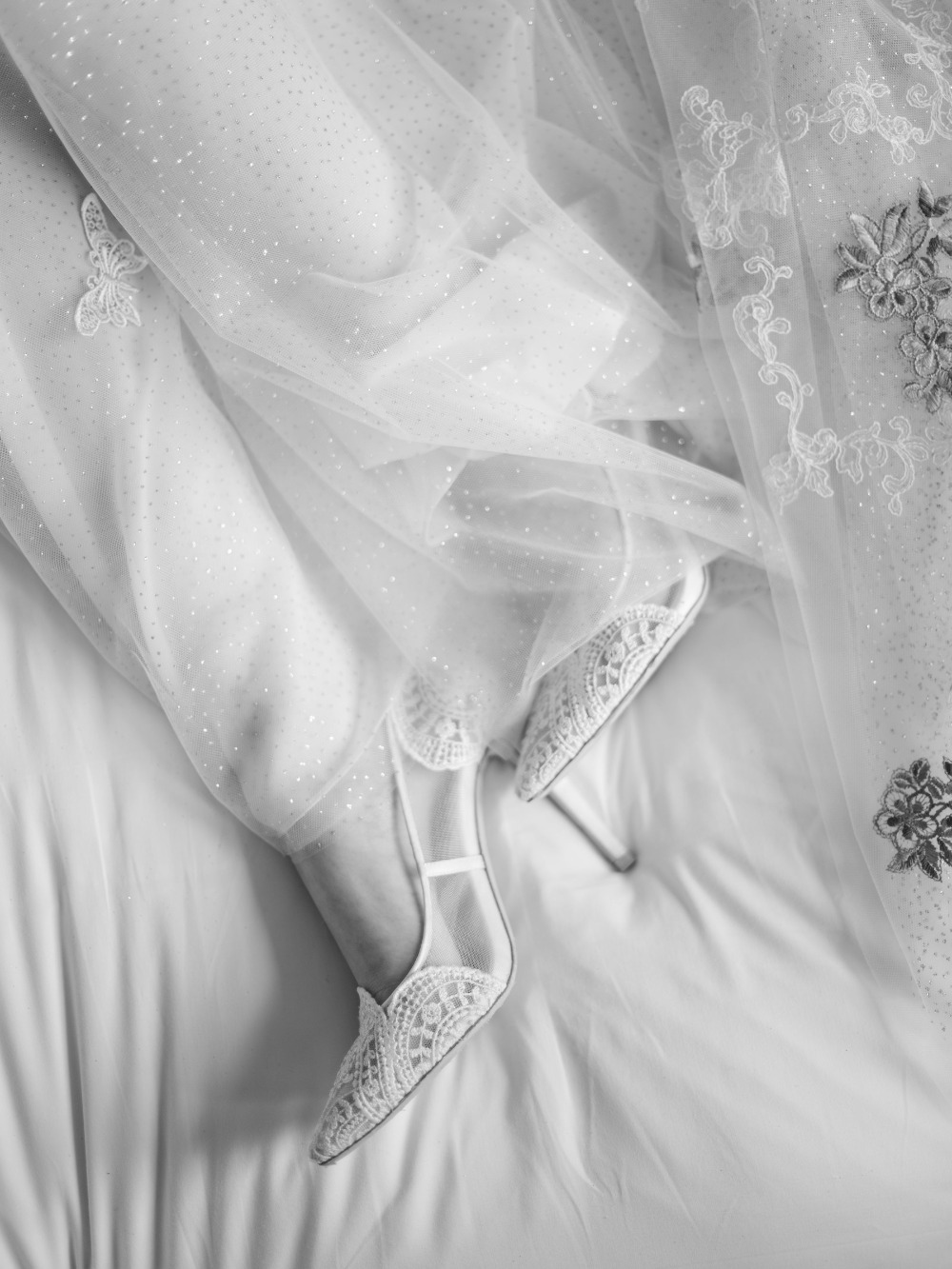 claire-pettibone-images-evolution-2020