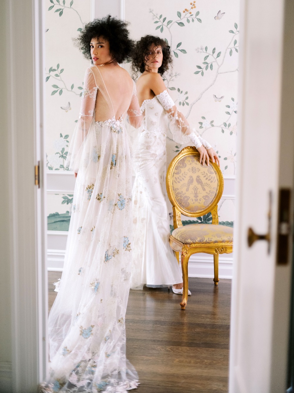 claire-pettibone-images-evolution-2020